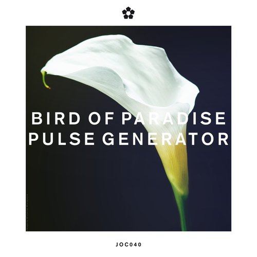 Pulse Generator