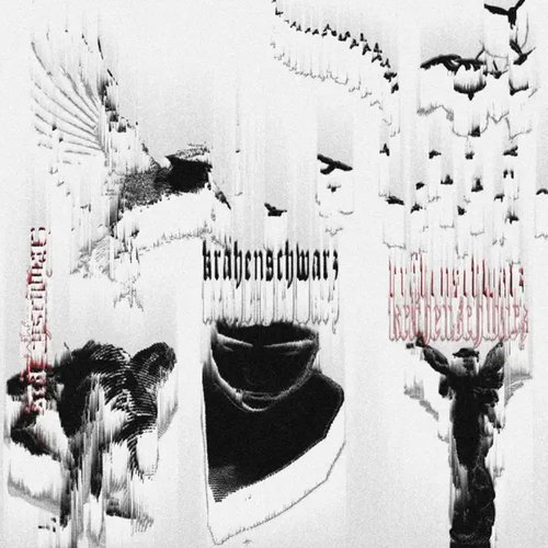 KRÄHENSCHWARZ