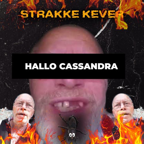 Hallo Cassandra