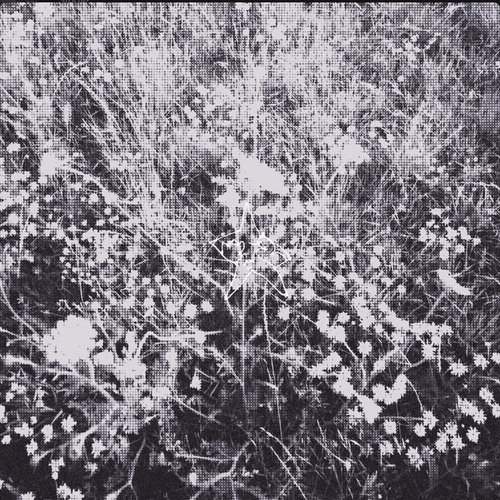 lomochrome