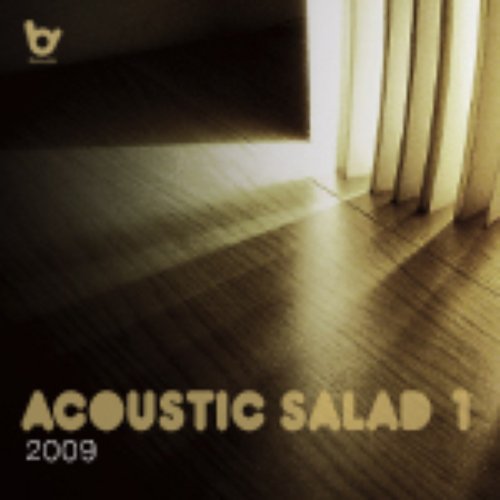 Acoustic salad 1
