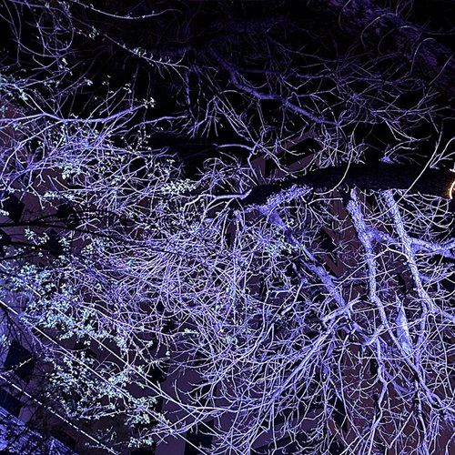 angelgrove [Explicit]