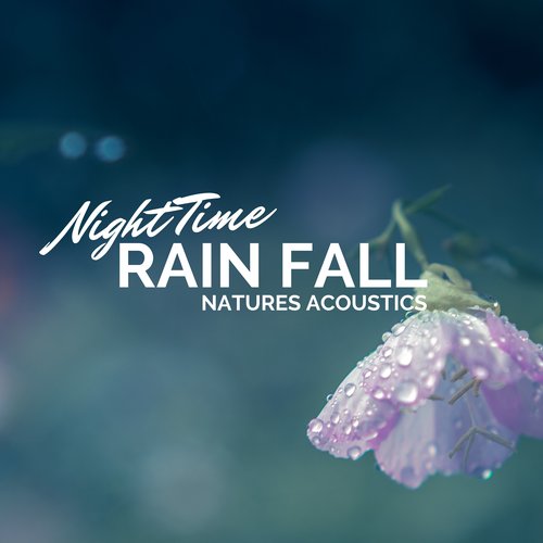Night Time Rain Fall