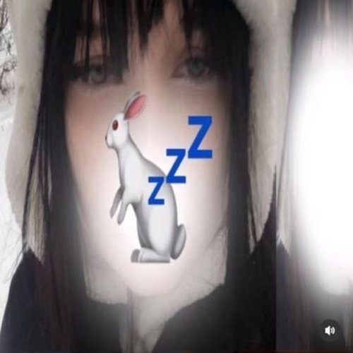 Sleeping Rabbits