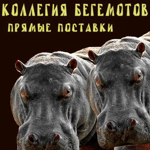 Прямые Поставки