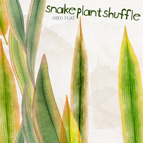 Snake Plant Shuffle