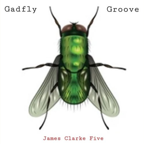 Gadfly Groove