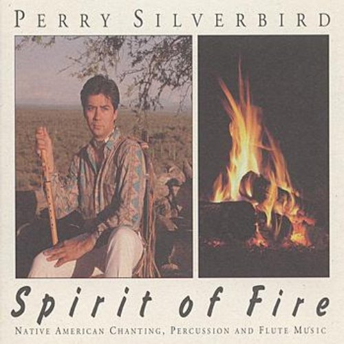 SILVERBIRD: Spirit of Fire