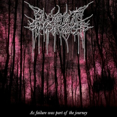 As Failure Was Part of the Journey