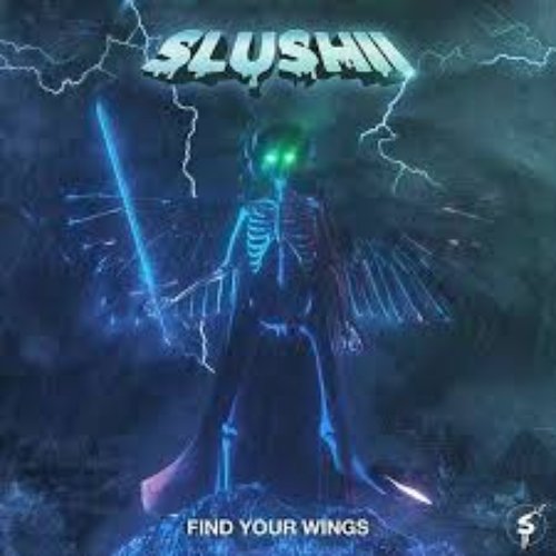 Find Your Wings [Explicit]