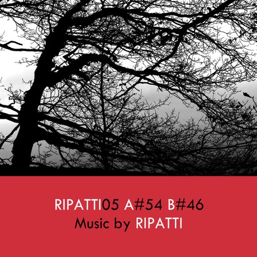 Ripatti 05