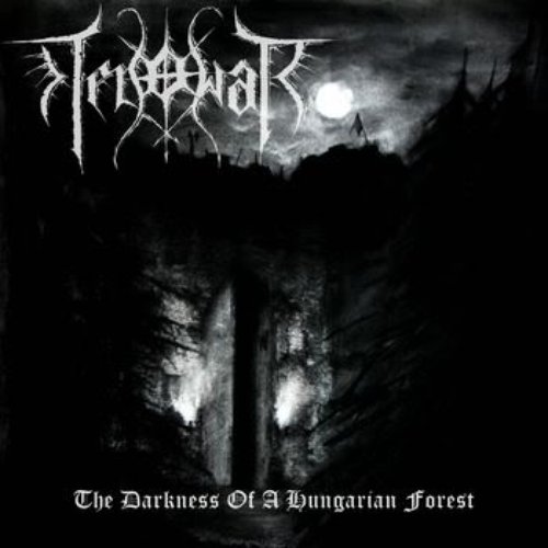 The Darkness Of A Hungarian Forest
