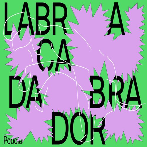 Labracadabrador