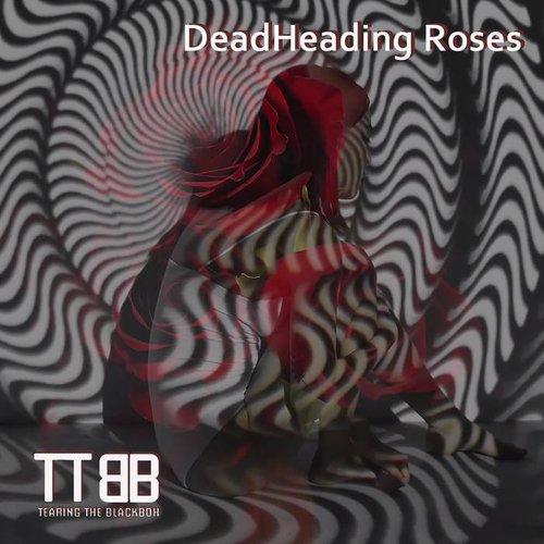 DeadHeading Roses