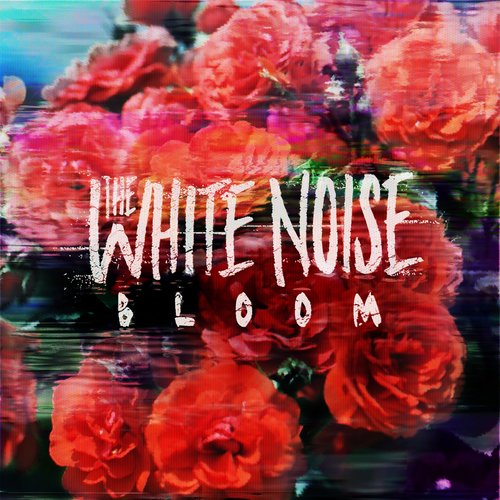 Bloom - Single