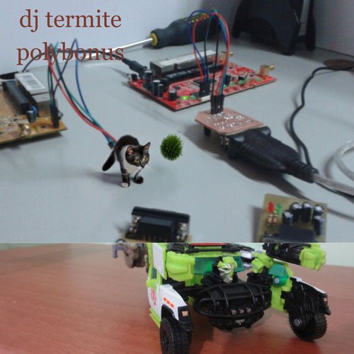 polyBonusFootwerx
