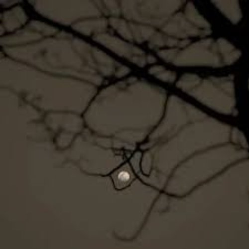 Luna - Single