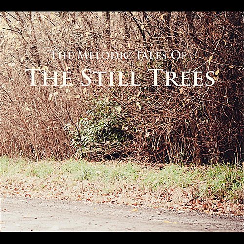 The Melodic Tales of the Still Trees