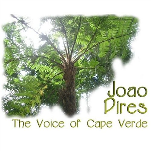 Canta Nha Virgen Maria