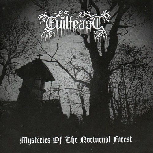 Mysteries of the Nocturnal Forest