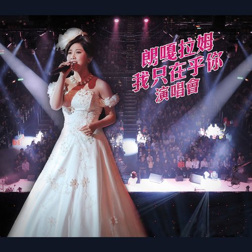 我只在乎你演唱會