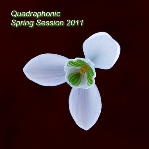 Quadraphonic Spring Session 2011