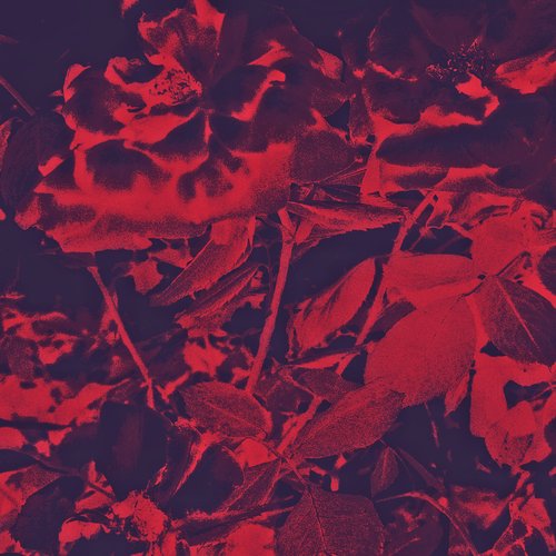 Like You Do (Slowed + Reverb)