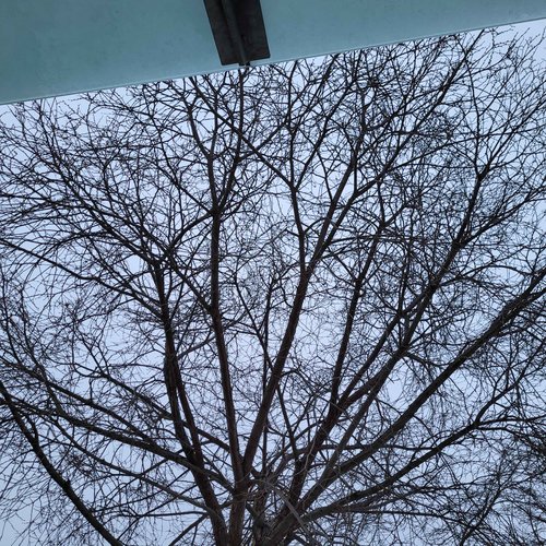 Winter Solstice
