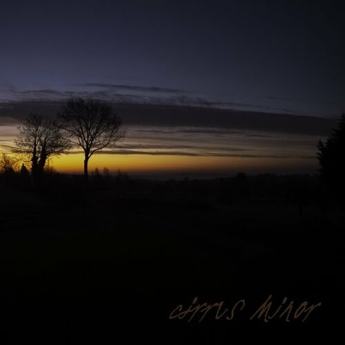 Cirrus minor