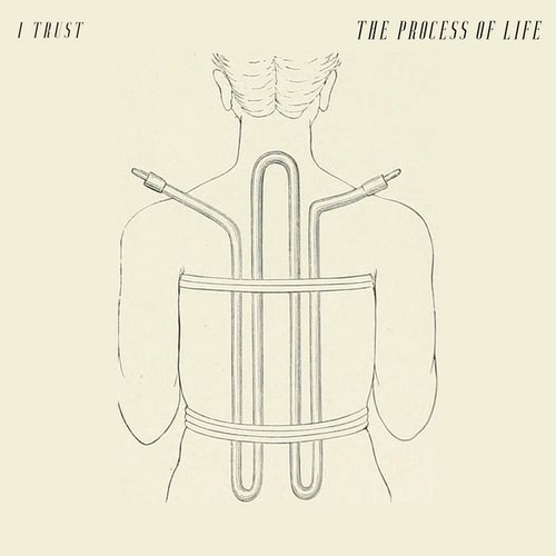 The Process of Life