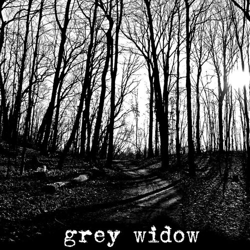Grey Widow I