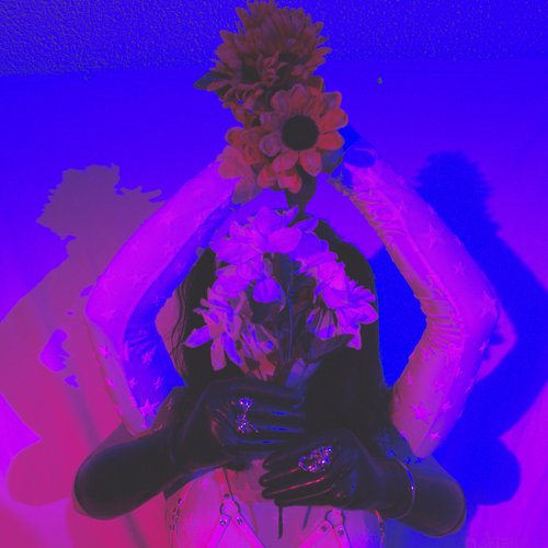Half - Bloom
