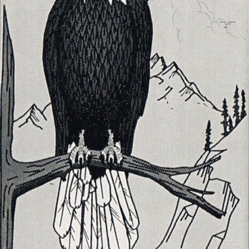 True Northern