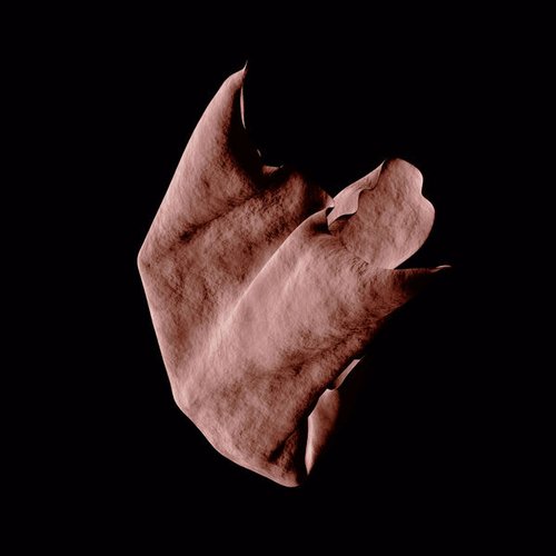 Adjacent Heart - Single