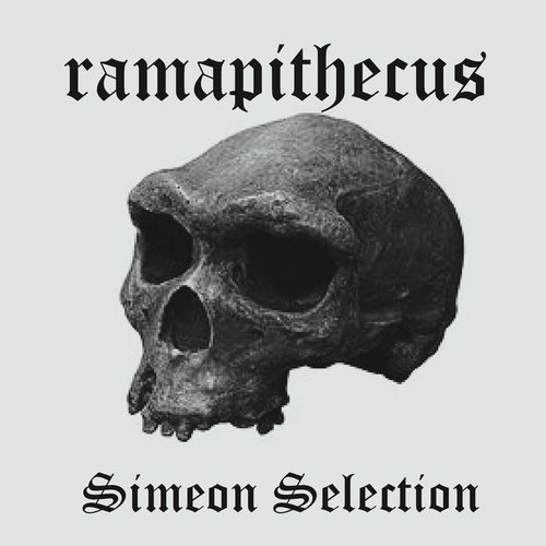 Simeon Selection