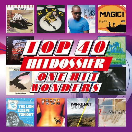 TOP 40 HITDOSSIER - One Hit Wonders (Eendagsvliegen Top 100)
