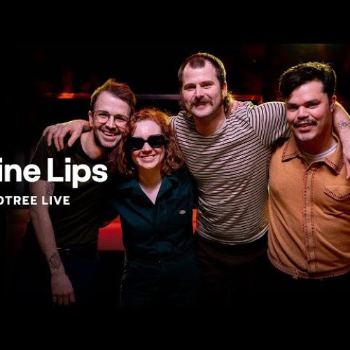 Wine Lips on Audiotree Live