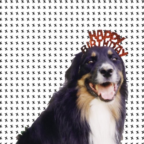 Mollie's Mix