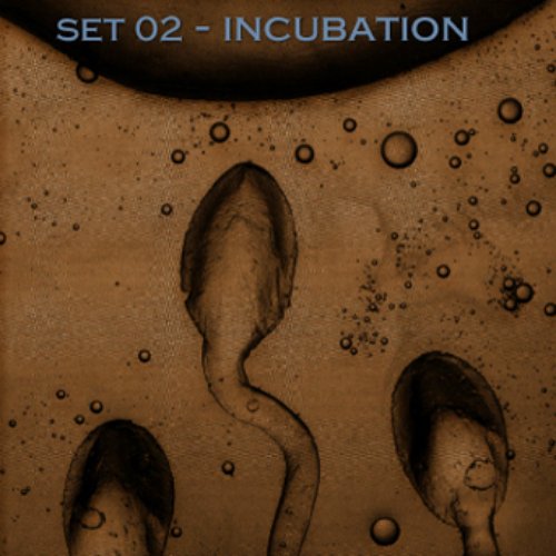 Set 02 Incubation