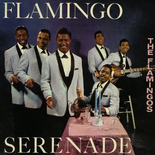 Flamingo Serenade