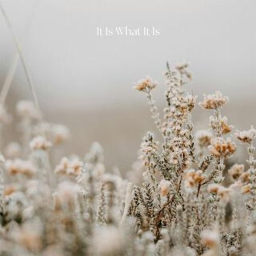 It Is What It Is
