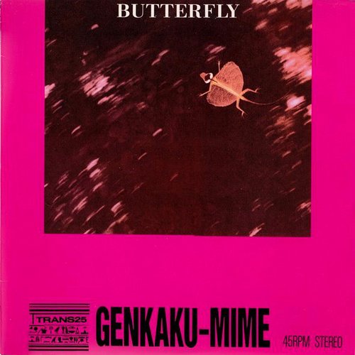 Butterfly