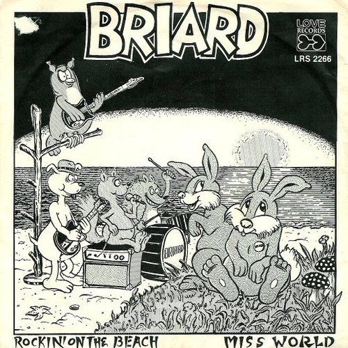 Rockin' On The Beach / Miss World