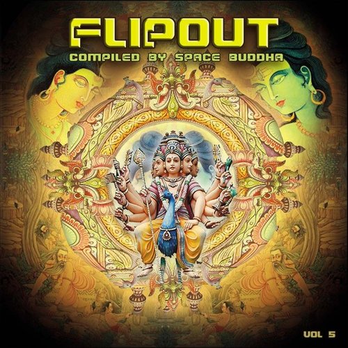 Flip Out Vol. 5 - compiled by Space Buddha