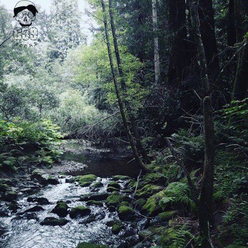 Meet Me Where The River Turns Grey