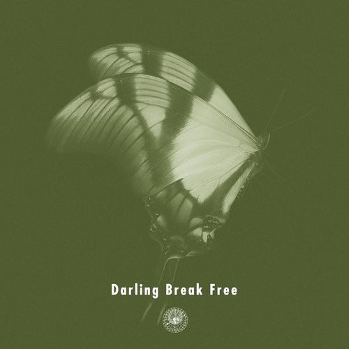 Darling Break Free