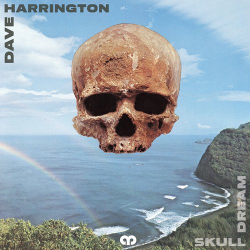 Skull Dream
