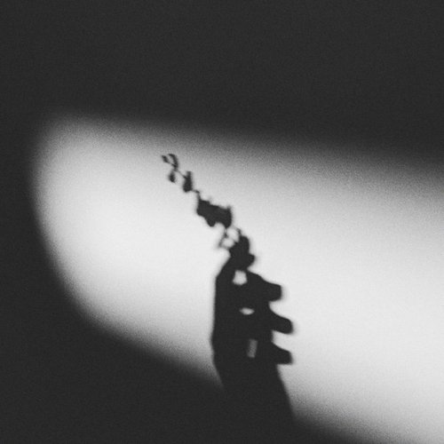 pieces of me