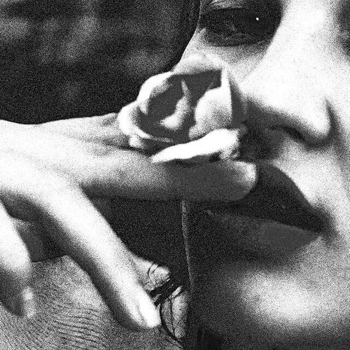 I Will Never Give You Flowers - Single