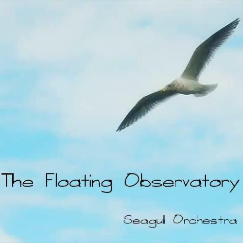The Floating Observatory